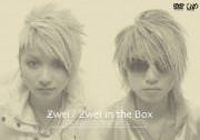 「Zwei in the Box」